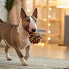 A Comprehensive Guide on How to Cook Chicken for Dog Food