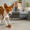 Akita Temperament: Understanding the Unique Personality of Akitas