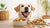 Are Animal Cookies Good for Dogs? Everything You Need to Know