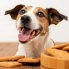 Are Biscuits Good for Dogs? Understanding the Benefits and Risks