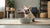 Are Biscuits Okay for Dogs? What Every Dog Owner Needs to Know