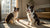 Are Bully Sticks Fattening for Dogs? Understanding Their Nutritional Value and Safe Consumption