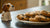 Are Chocolate Chip Cookies Bad for Dogs? Understanding the Risks-140928614639