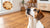 Are Cookies Bad for Dogs? Understanding the Risks and Offering Safe Alternatives-140927074543