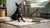 Are Dental Chews Effective? Understanding Their Role in Your Dog's Oral Health