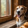 Are Dental Sticks Fattening for Dogs? Understanding the Impact on Your Pup’s Health