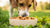 Are Dog Biscuits Bad for Dogs? Understanding the Risks and Alternatives-140921602287