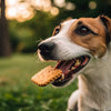 Are Dog Biscuits Good for Dogs? Understanding the Impact of Treats on Canine Health