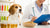 Are Dog Food Allergy Tests Accurate? A Comprehensive Guide to Understanding Allergy Testing for Our Furry Friends