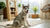 Are Dog Treats Bad for Dogs? Understanding the Risks and Benefits