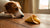 Are Dogs Allergic to Fortune Cookies? Understanding the Risks-141108936943