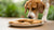 Are Dogs Allowed Ginger Biscuits? Understanding the Risks and Safe Alternatives-141106217199