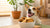 Are Dogs Allowed to Eat Biscuits? Understanding the Dos and Don'ts of Treating Your Pup-140921340143