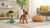 Are Freeze Dried Dog Treats Raw? Understanding the Benefits and Options for Your Furry Friend