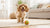 Are Grain-Free Diets Bad for Dogs? Understanding the Risks and Benefits