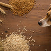 Are Grain-Free Dog Foods Dangerous? Understanding the Risks and Benefits for Your Pet