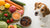 Are Grain-Free Foods Good for Dogs? A Comprehensive Exploration