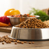Are Grains in Dog Food Bad? Debunking Myths and Understanding the Science