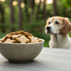 Are Human Biscuits Good for Dogs? A Comprehensive Guide for Pet Owners