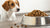 Are Kibbles Bad for Dogs? Unpacking the Truth Behind Dry Dog Food