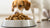 Are Kibbles Good for Dogs? Understanding the Benefits and Drawbacks of Dry Dog Food