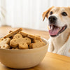 Are Normal Biscuits Good for Dogs? A Comprehensive Guide for Pet Owners