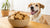 Are Normal Biscuits Good for Dogs? A Comprehensive Guide for Pet Owners-141109330159