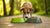 Are Raised Food Bowls Bad for Dogs? A Comprehensive Guide for Pet Owners