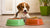 Are Raised Food Bowls Good for Dogs? Weighing the Pros and Cons