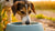 Are Raised Water Bowls Bad for Dogs? Understanding the Implications-140794396911