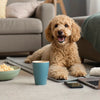 Are Smaller Dogs Easier to Take Care Of? Exploring the Pros and Cons