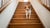 Are Stairs Good Exercise for Dogs? Exploring the Benefits and Risks