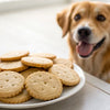 Are Sugar Cookies Bad for Dogs? Understanding the Risks and Safe Treating Options