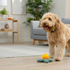 Are You Supposed to Add Water to Kibble? Understanding the Benefits and Considerations