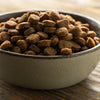 Are You Supposed to Mix Dry Dog Food with Water? Understanding the Benefits and Drawbacks