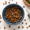 Are You Supposed to Put Water in Dry Dog Food? Unpacking the Benefits and Drawbacks