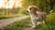 Can 6 Month Old Puppies Eat Adult Dog Food? The Essential Guide for Puppy Parents