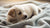 Can a 1 Month Old Puppy Eat Dog Food? Understanding Nutritional Needs-140404818159
