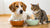 Can a Dog and Cat Share a Water Bowl? What Pet Owners Need to Know