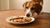 Can a Dog Die From Eating a Chocolate Chip Cookie?-141109297391