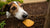 Can a Dog Eat a Biscuit? A Comprehensive Guide for Dog Owners-141108150511