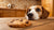 Can a Dog Eat a Chocolate Chip Cookie? What Every Pet Owner Needs to Know-140925763823