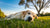 Can a Dog Eat After Exercise? Understanding the Timing for Optimal Health