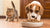 Can a Dog Eat Cat Food in a Pinch? Understanding the Risks and Alternatives-140294062319