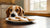 Can a Dog Eat Sugar Cookies? Understanding the Risks and Safe Practices-140927533295