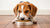 Can a Grown Dog Eat Puppy Food? Understanding Nutritional Needs and Feeding Practices