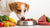 Can a Raw Food Diet Make My Dog Sick? Exploring the Risks and Realities