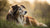 Can a Senior Dog Eat Puppy Food? Understanding Nutritional Needs at Different Life Stages
