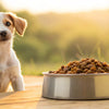 Can Adult Dog Food Cause Diarrhea in Puppies? Understanding the Risks and Solutions