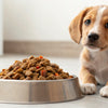 Can Adult Dog Food Give Puppies Diarrhea? Understanding the Risks and Nutritional Needs